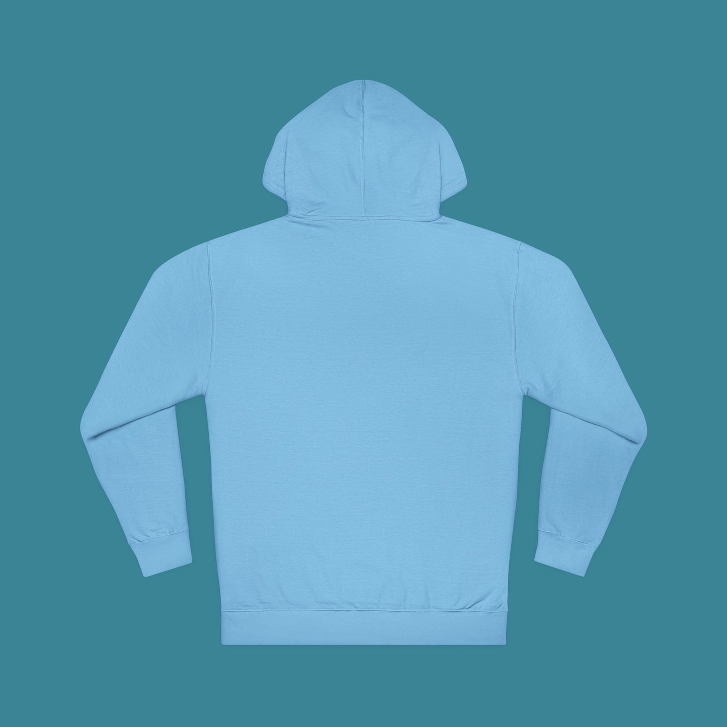 Ferris Wheel Hoodie