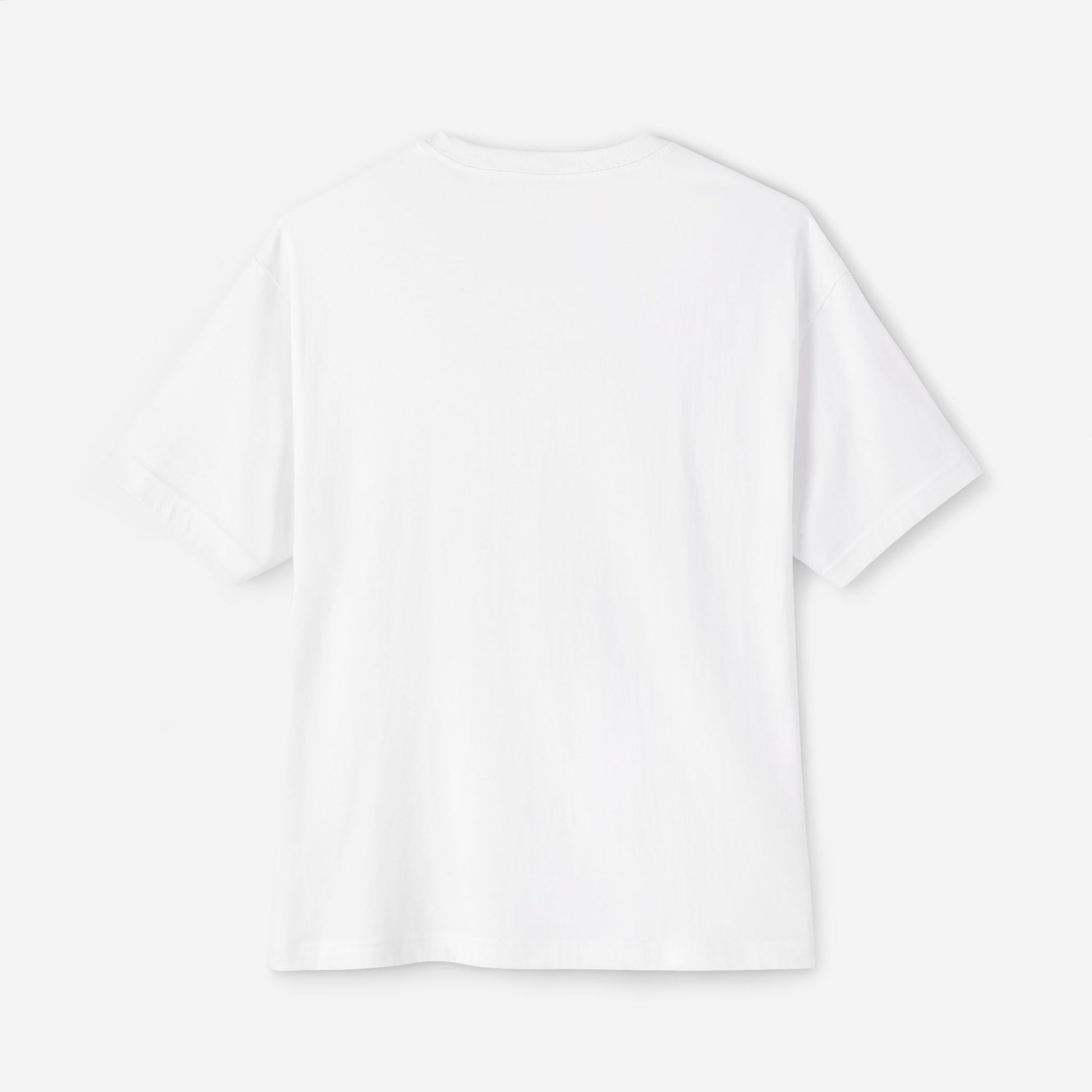 Ski House T 