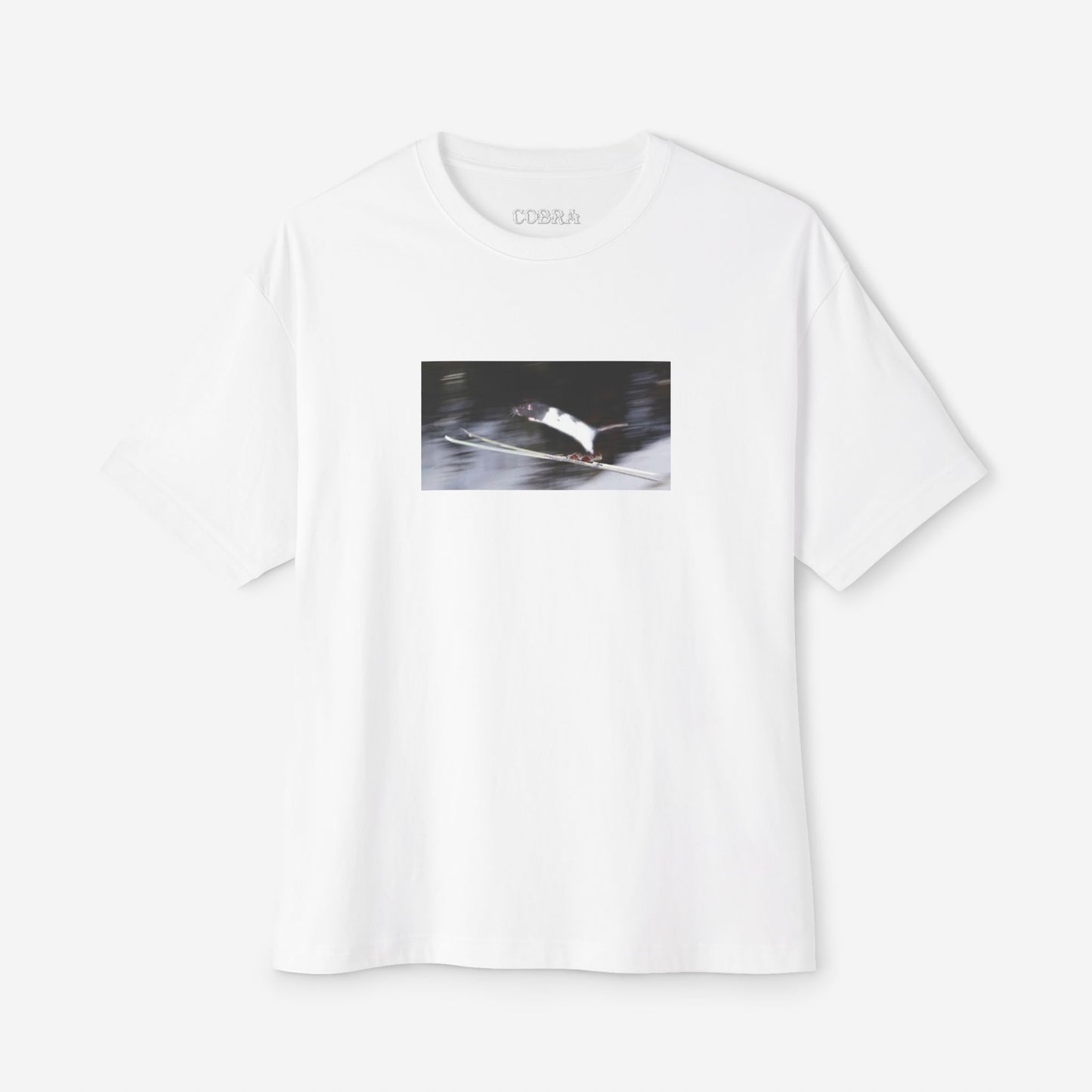 Rat T 
