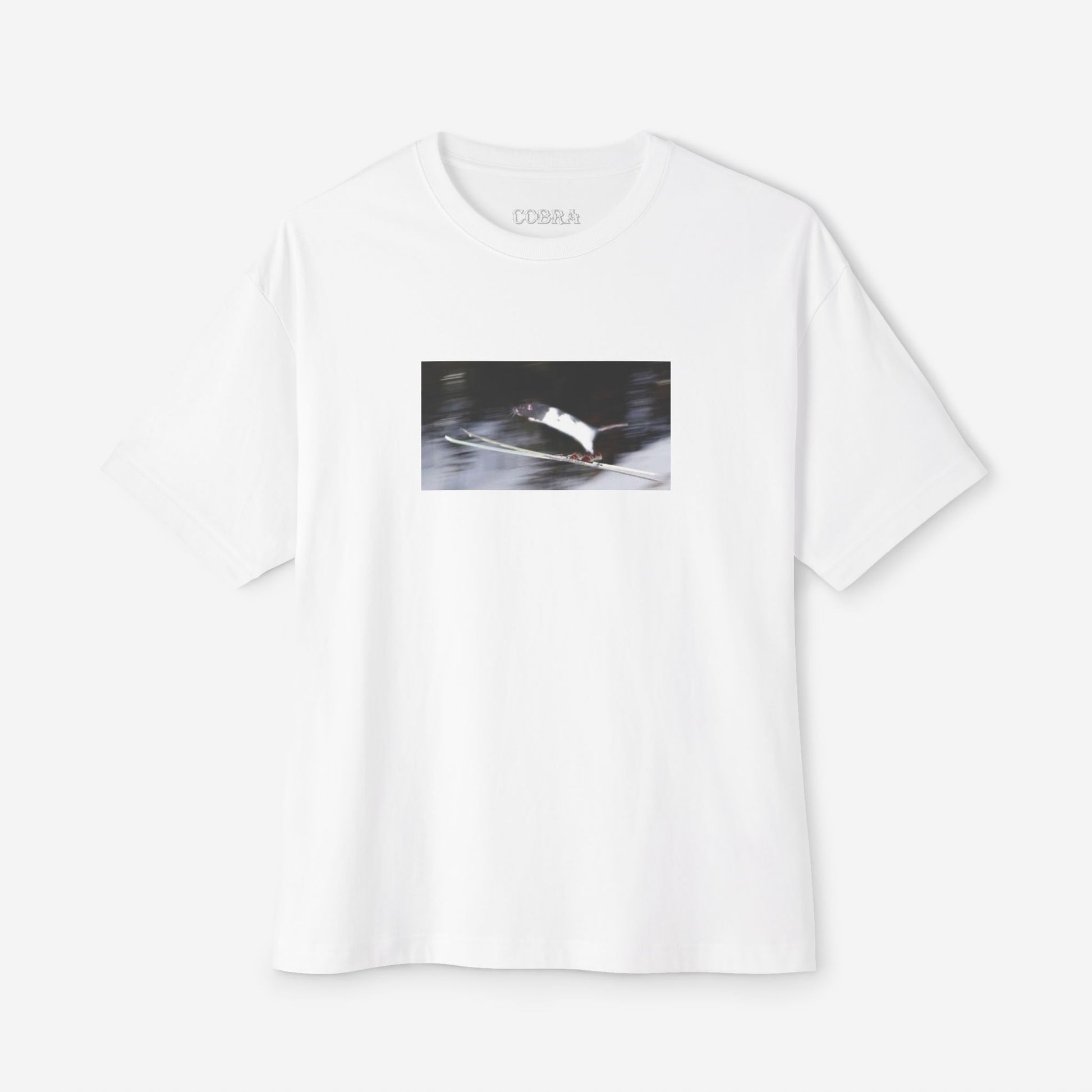 Rat T 