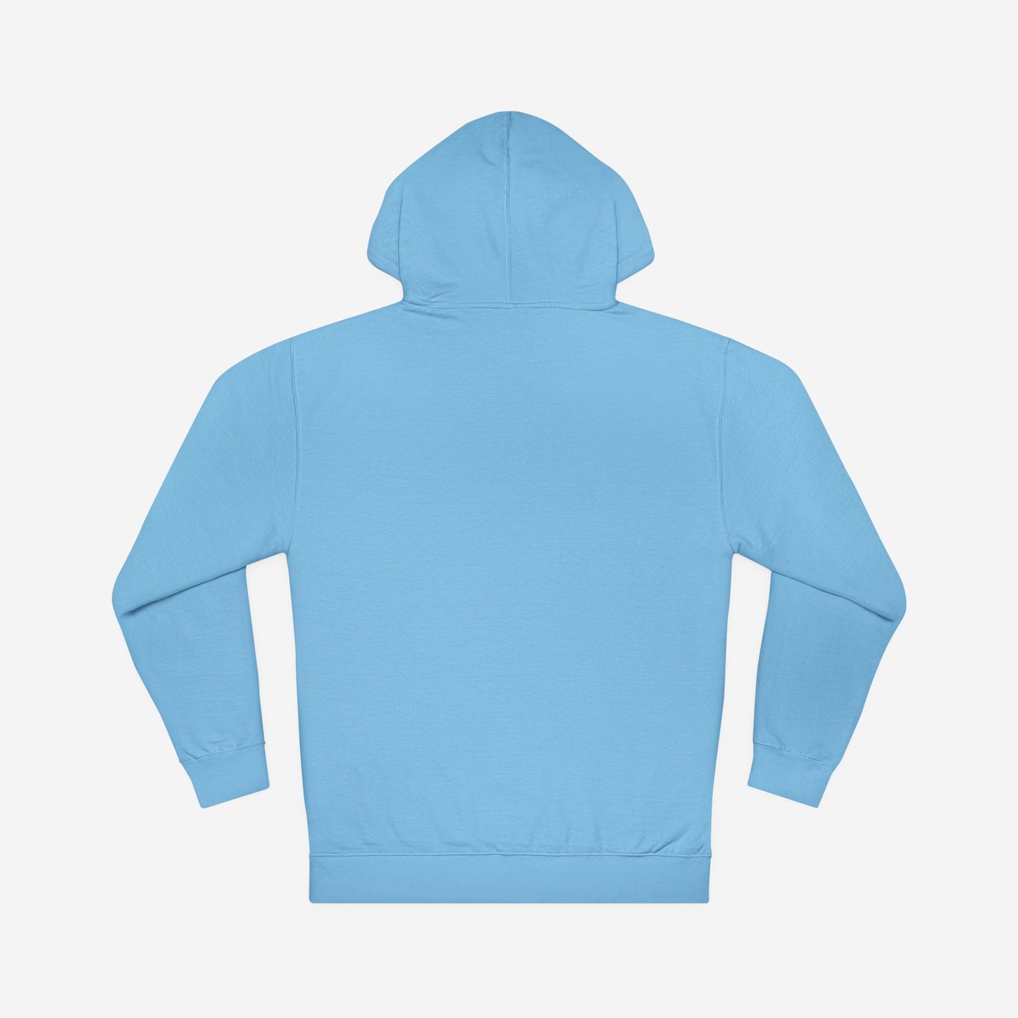 Ferris Wheel Hoodie 